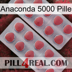 Anaconda 5000 Pill 19